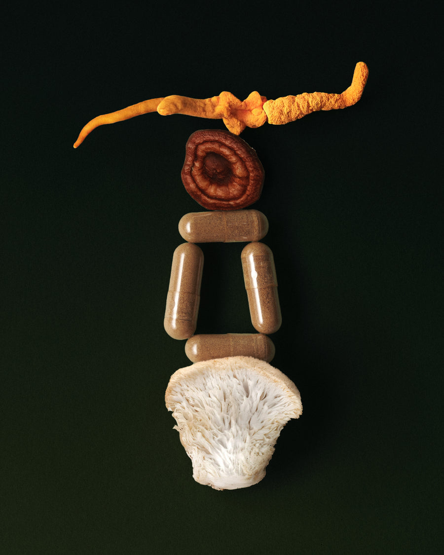 Performance Mushroom Blend