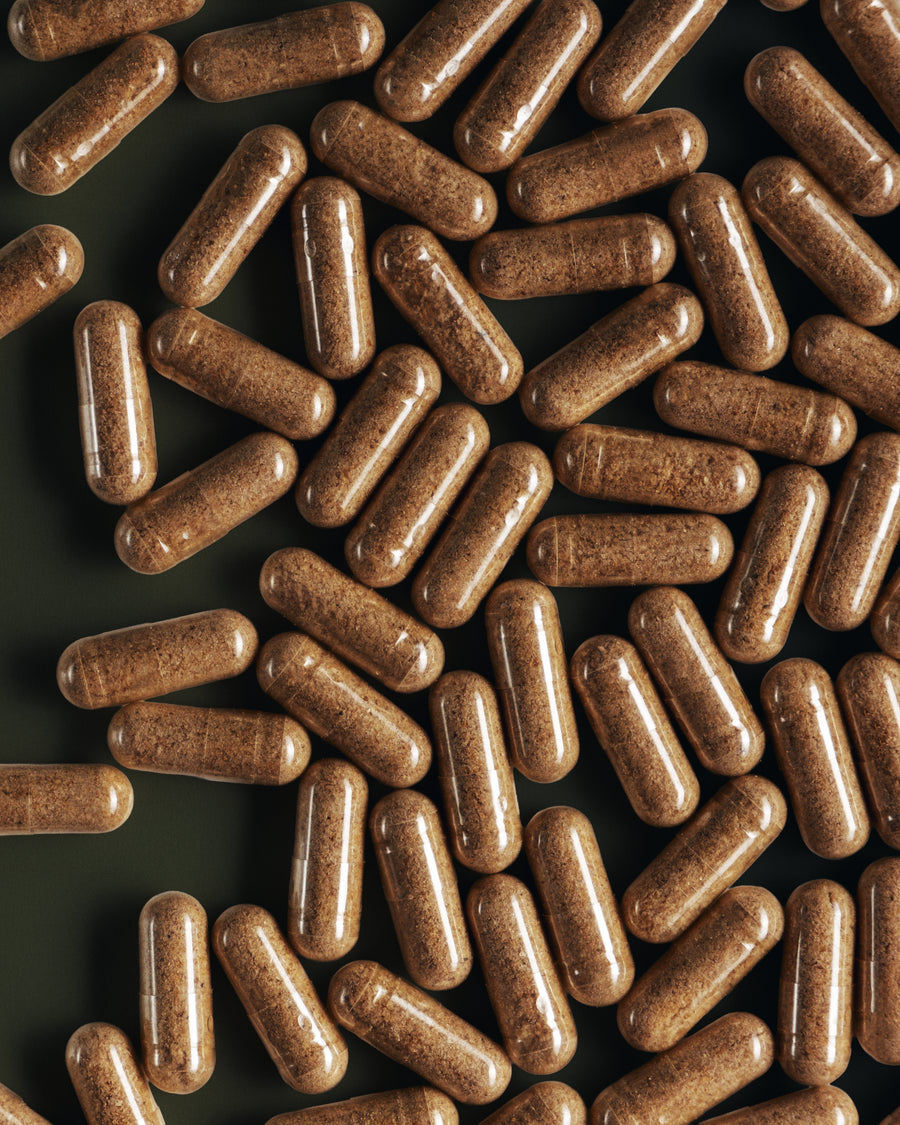 Performance Mushroom Blend