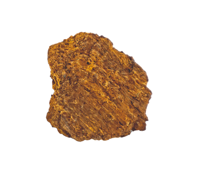 Chaga
