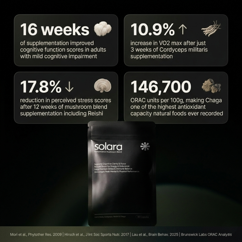 Performance Mushroom Blend